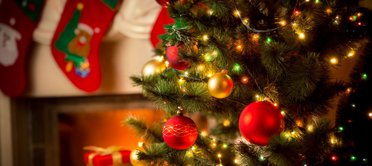 [ESPECIAL NAVIDAD] Los coloridos y luminosos árboles navideños de las celebridades