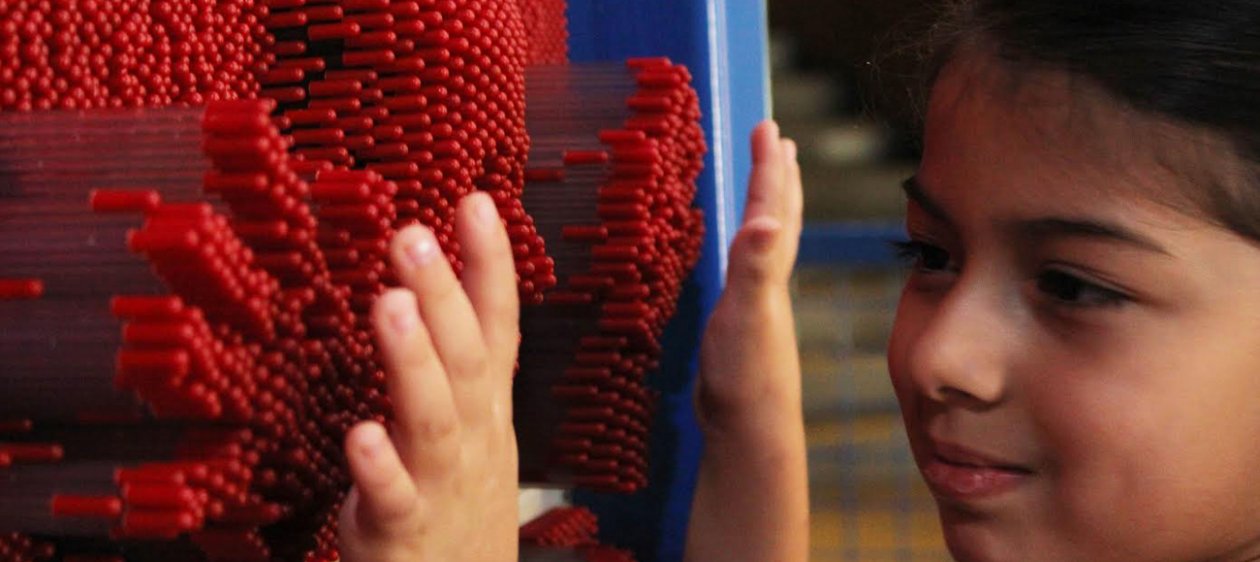 Celebra el Día Internacional de la Mujer y la Niña en la Ciencia