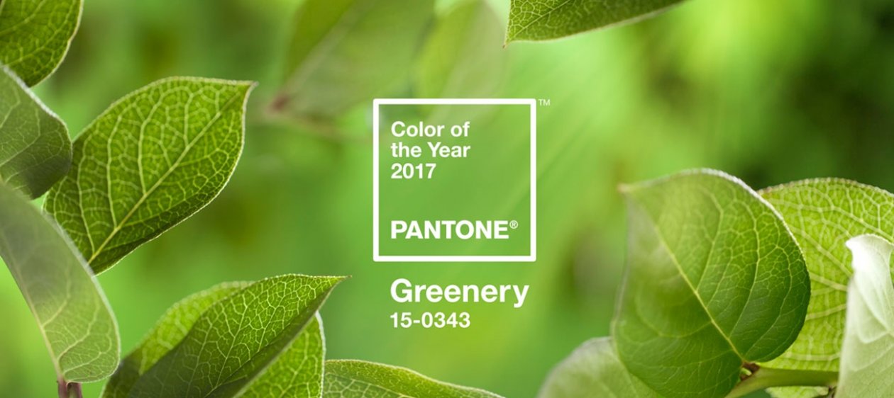 #FacebookLiveM360 Maquíllate con Greenery, el color del 2017