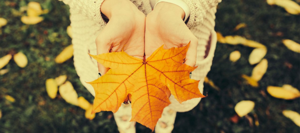 ¡Llegó el otoño! 4 recetas para preparar con frutas de la temporada