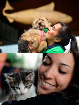 ¡Elige adoptar! Perros y gatos esperarán por un dueño este sábado en el GAM ¡Elige adoptar! Perros y gatos esperarán por un dueño este sábado en el GAM