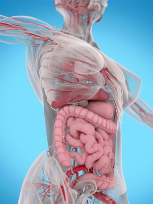 4 Sencillos ejercicios para activar el tránsito intestinal 4 Sencillos ejercicios para activar el tránsito intestinal