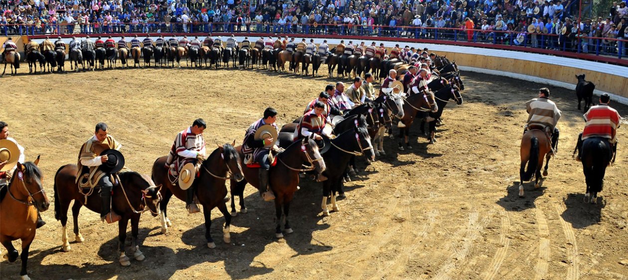 #SinRodeos: Rostros se unen para que el rodeo deje de ser deporte nacional