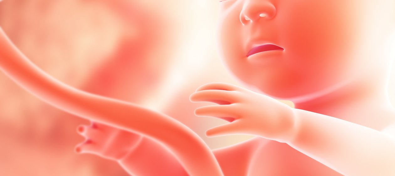 ¡Increíble! Nace un bebé de embrión congelado hace 24 años