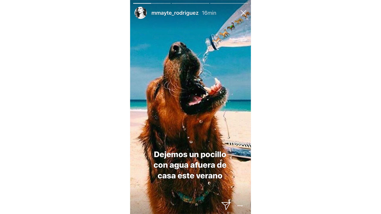 Imagen #1 Imagen #1