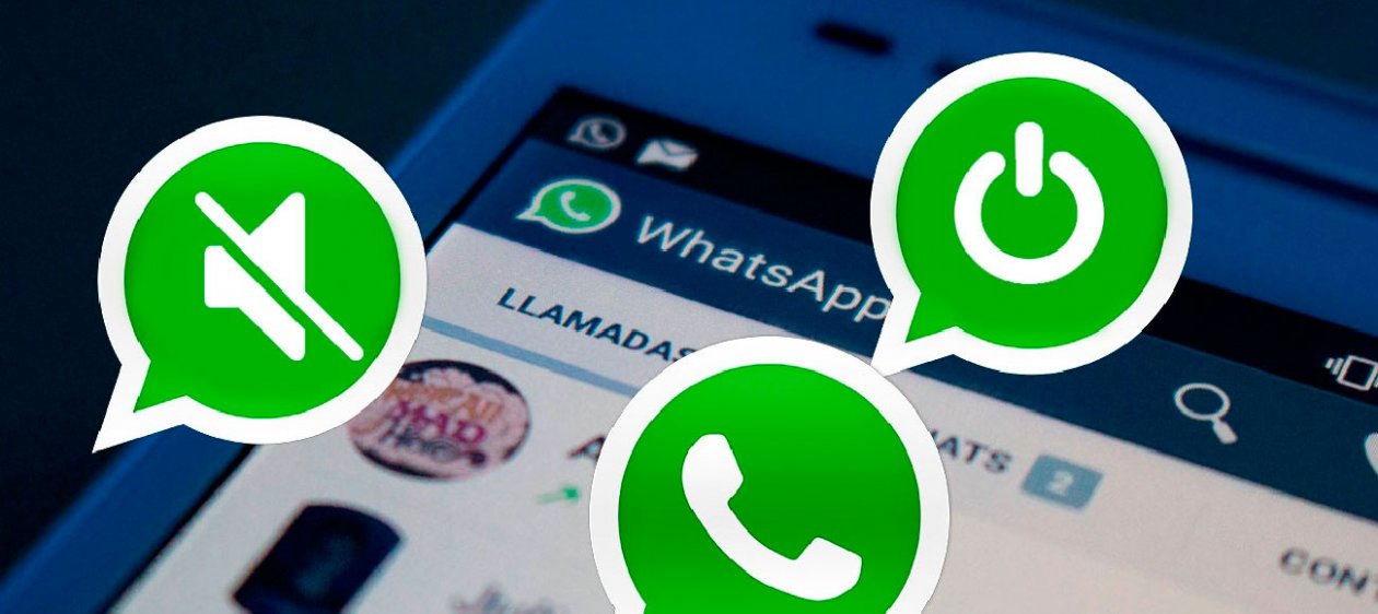 4 Tips claves para sobrevivir en los grupos de WhatsApp
