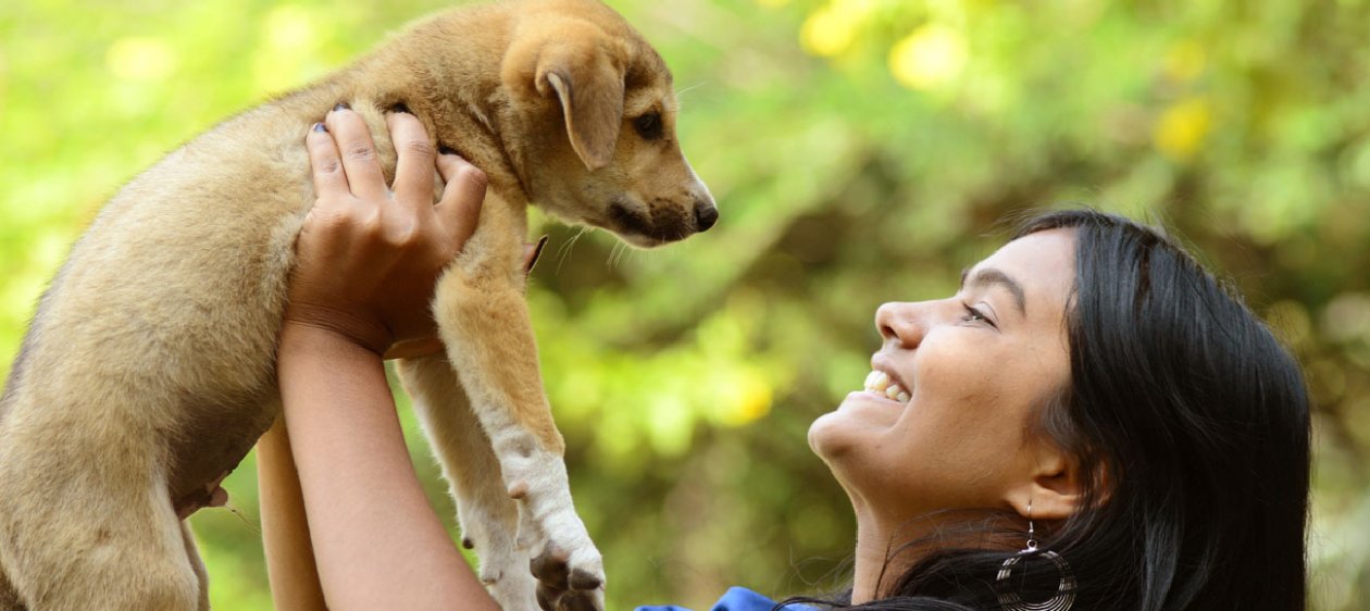 Esta isla caribeña fomenta la adopción de perritos exóticos