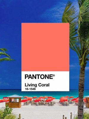 11 Formas de lucir el nuevo color Pantone 2019