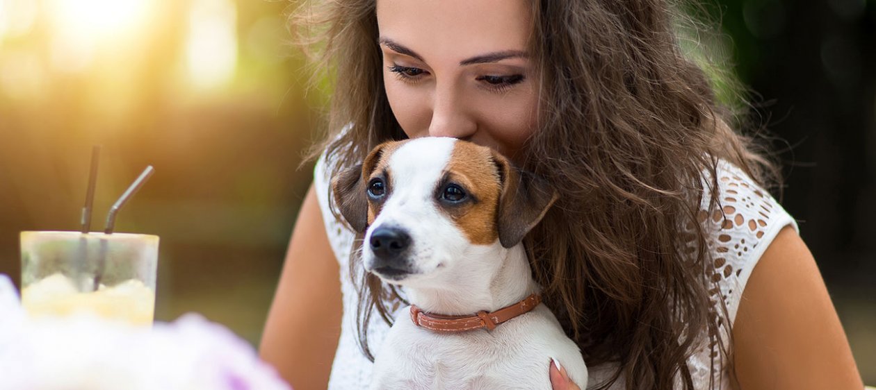 Tres lugares Pet Friendly para salir a comer sin problema con tu mascota