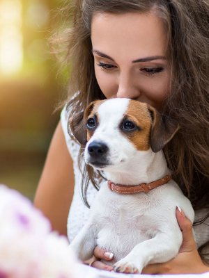 Tres lugares Pet Friendly para salir a comer sin problema con tu mascota