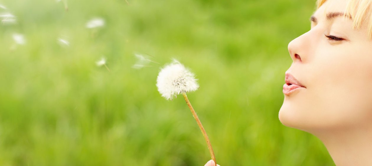 Estos alimentos te ayudarán a minimizar las alergias de primavera