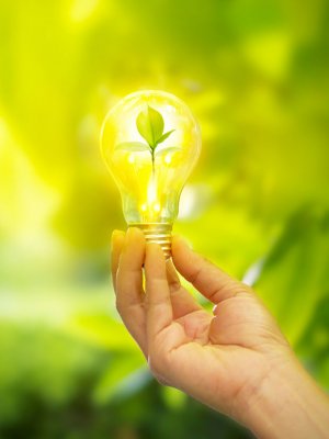 Crea y vive sustentable: la nueva versión de Feria Verde