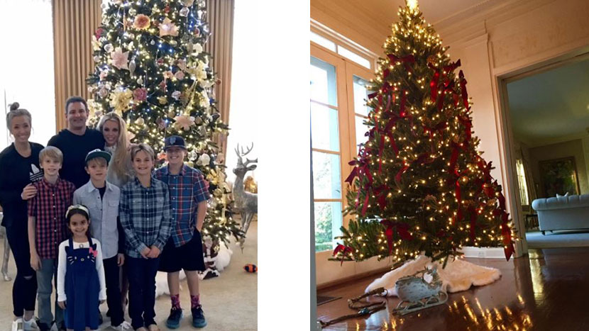 Navidad de las celebridades 3 Navidad de las celebridades 3