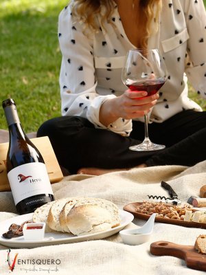 Descubre el secreto para disfrutar de tu vino favorito en verano