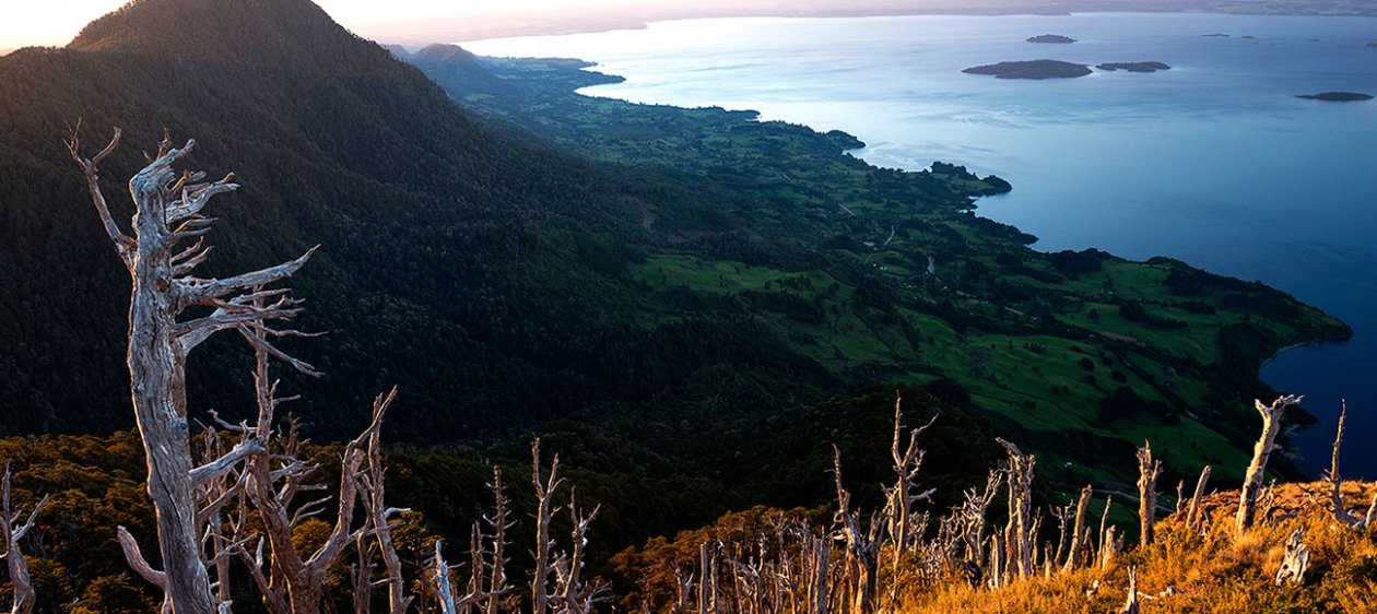 Apúntate en este desafío en plena selva del sur de Chile