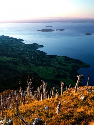 Apúntate en este desafío en plena selva del sur de Chile