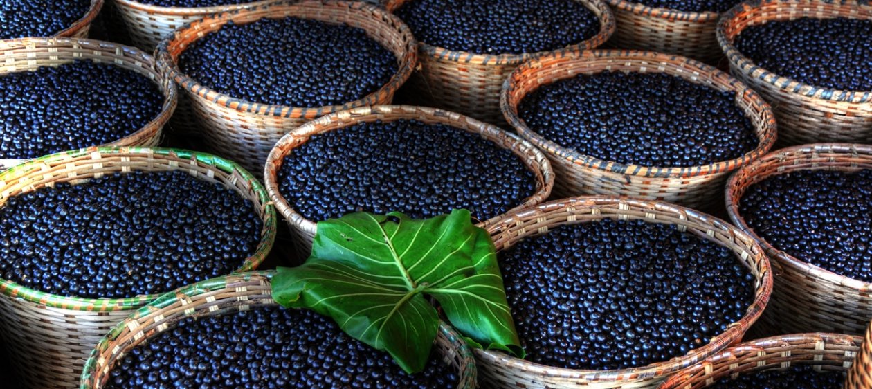 Descubre la energía y vitalidad del Açaí para tu piel