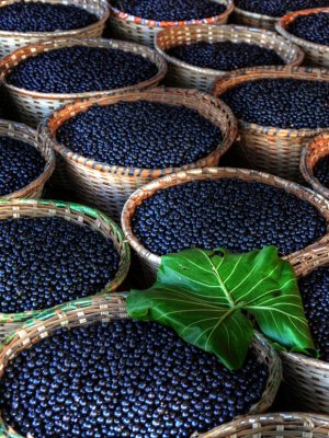 Descubre la energía y vitalidad del Açaí para tu piel