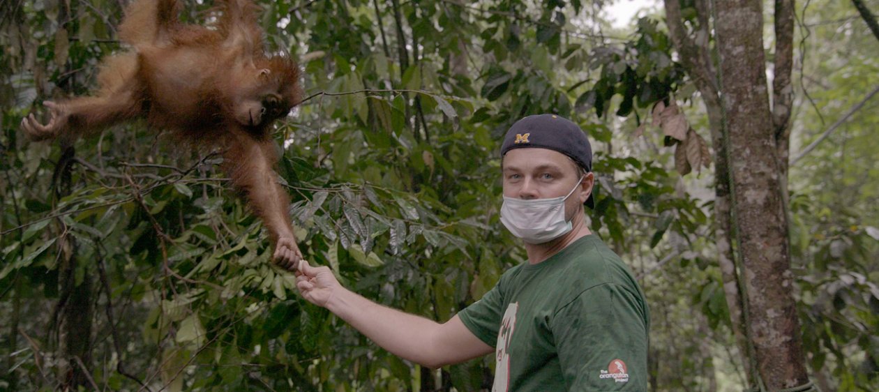 En el Día del Medio Ambiente, estos son los mejores documentales de NatGeo