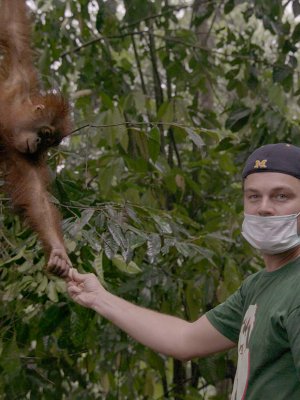 En el Día del Medio Ambiente, estos son los mejores documentales de NatGeo