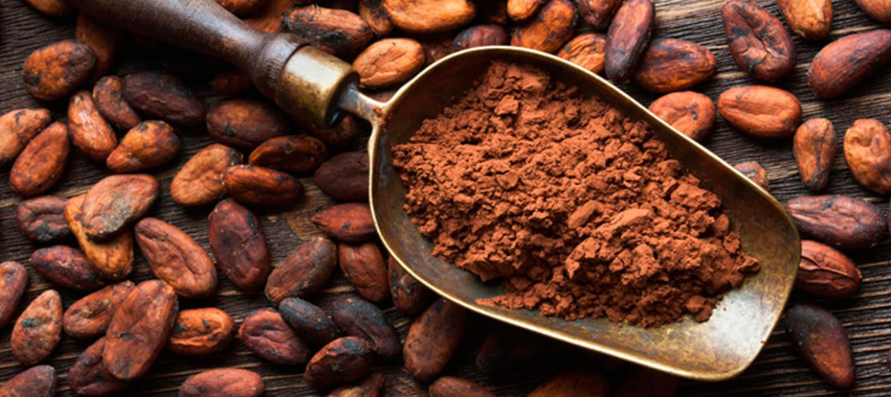Nuevo estudio sobre el cacao confirma sus beneficios para el corazón
