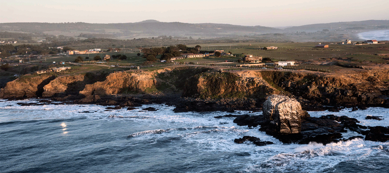 'Trash Money', la iniciativa que busca limpiar las playas de Pichilemu