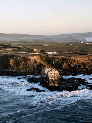 'Trash Money', la iniciativa que busca limpiar las playas de Pichilemu