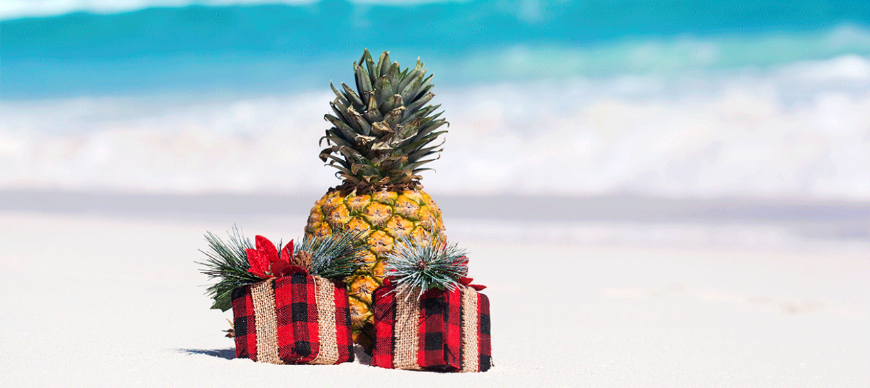 #EspecialNavidad: Una nueva tendencia tropical llega esta Navidad