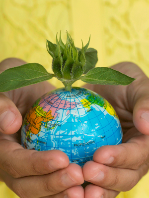 #EspecialNavidad: Consejos de Greenpeace para una Navidad verde