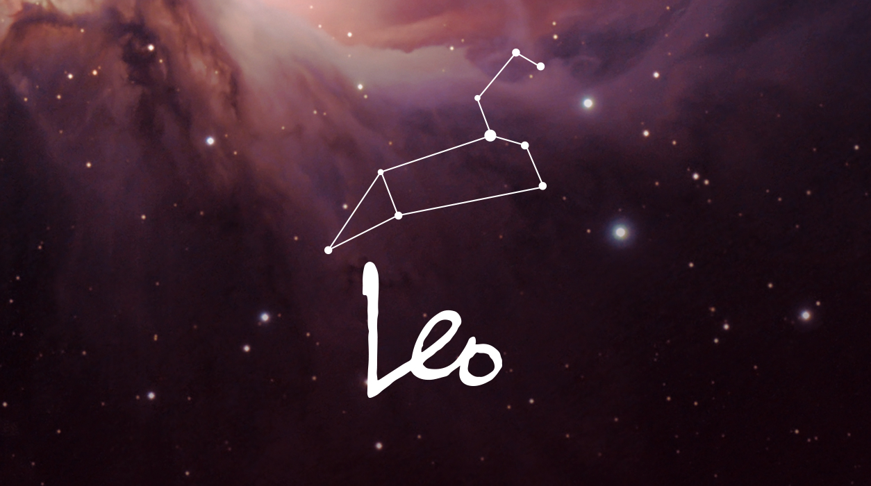 Imagen #7