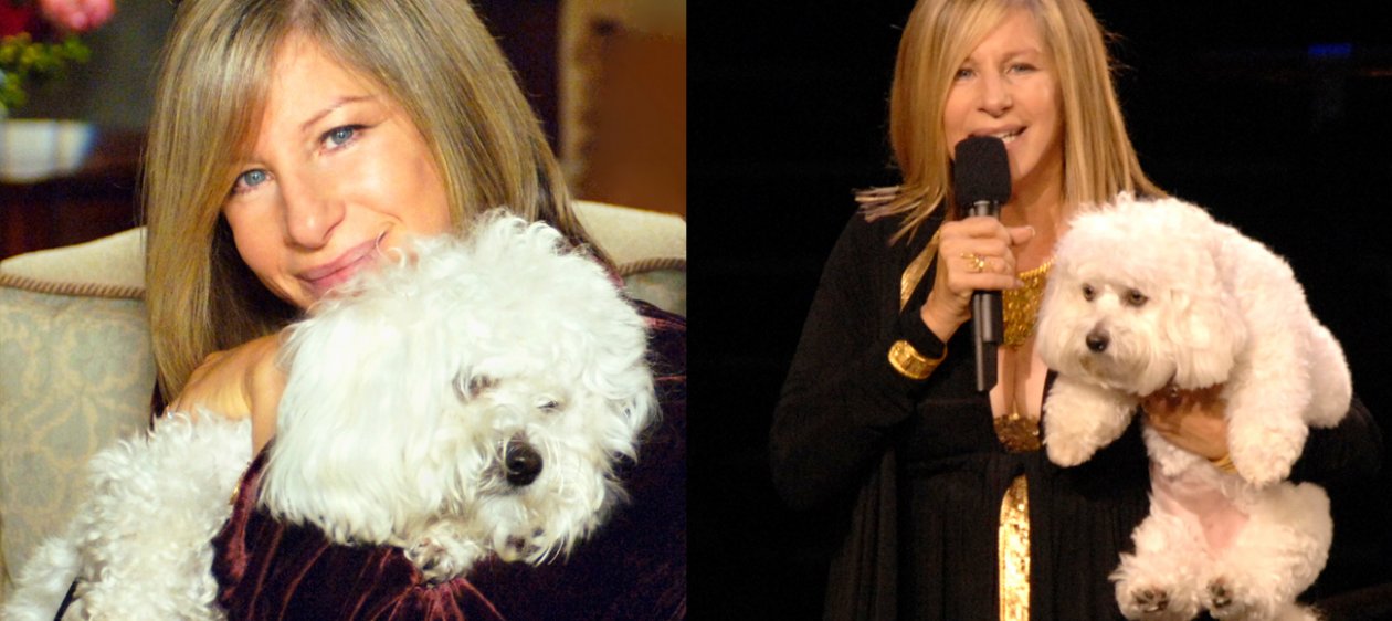 Barbra Streisand clonó a su perrita fallecida ¡Dos veces!
