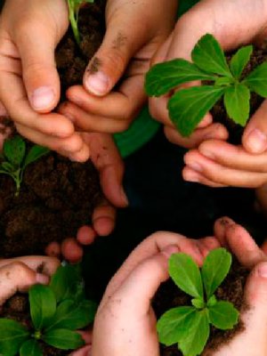 5 Ideas para reciclar con creatividad en casa