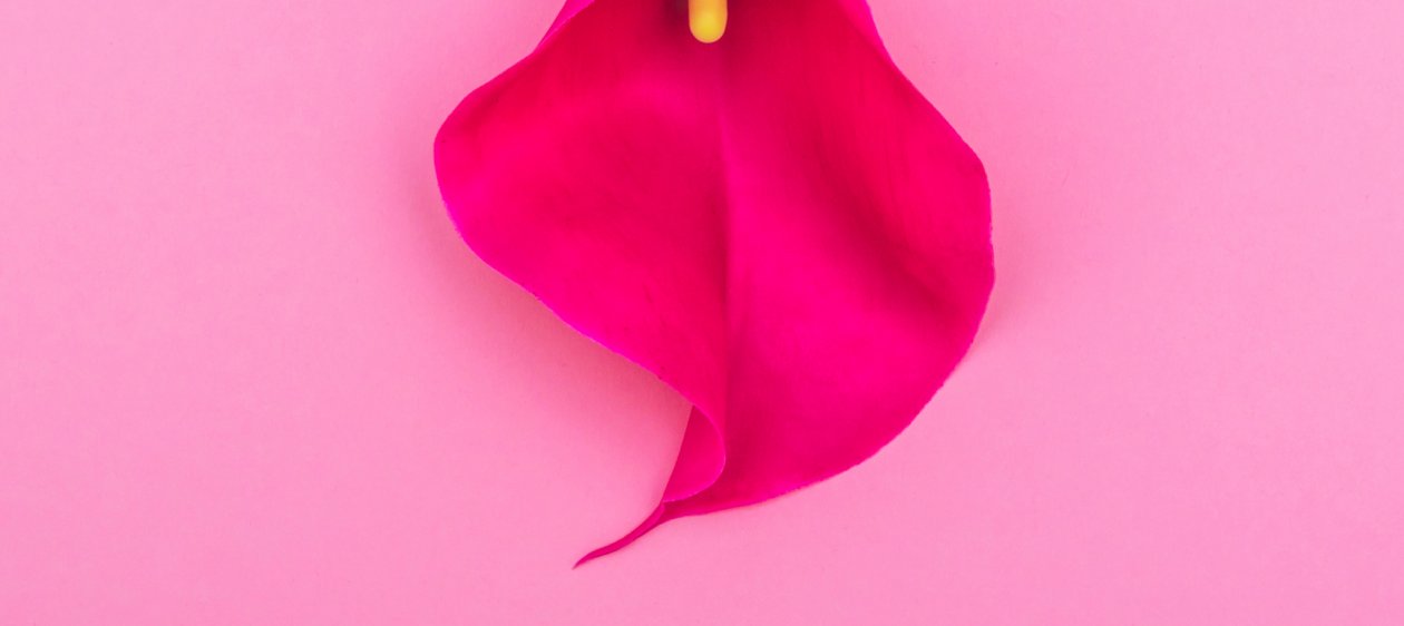 10 Datos interesantes y curiosos sobre la vagina