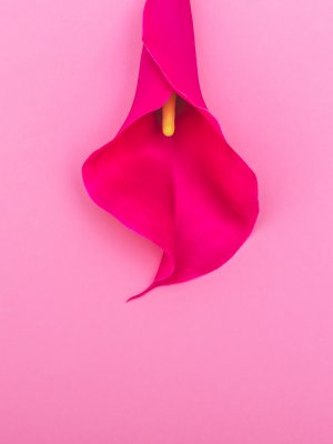10 Datos interesantes y curiosos sobre la vagina 10 Datos interesantes y curiosos sobre la vagina