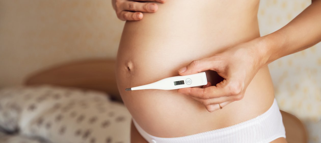 Fiebre en el embarazo: ¿Es peligroso para el feto?