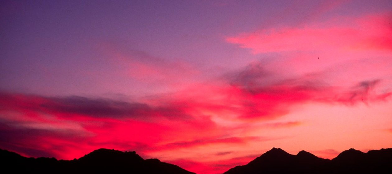 Twilight, el color que marca tendencia en el mundo