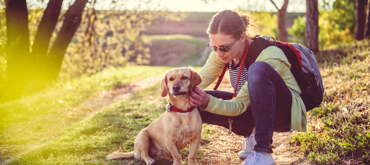 5 Cosas que estresan a tu perro y tú no lo sabías