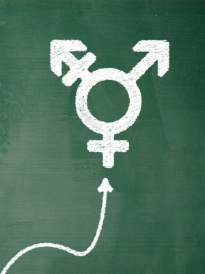 Estudio sugiere que todos somos bisexuales