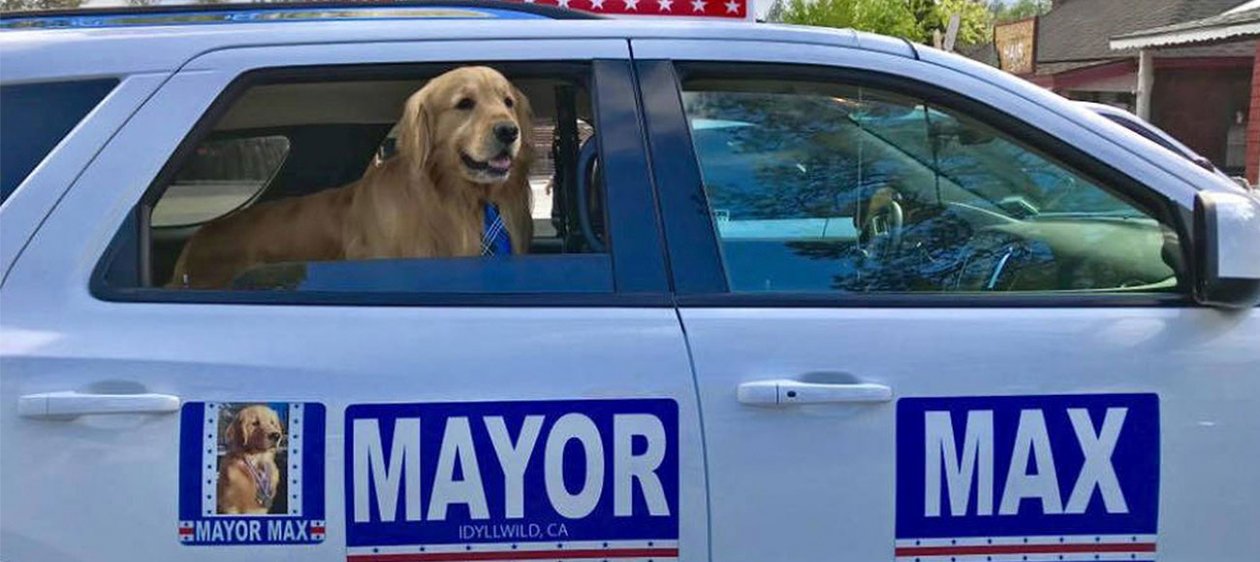 Un perro fue elegido alcalde en Estados Unidos