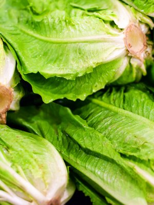 ¿Por qué Estados Unidos prohíbe el consumo de la lechuga romana?