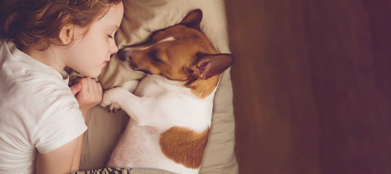 ¿Por qué un perro es el mejor compañero que puede tener tu hijo?