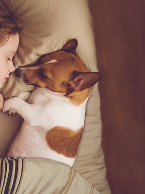 ¿Por qué un perro es el mejor compañero que puede tener tu hijo?