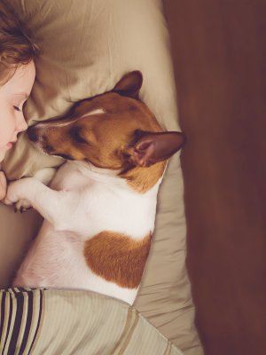 ¿Por qué un perro es el mejor compañero que puede tener tu hijo?