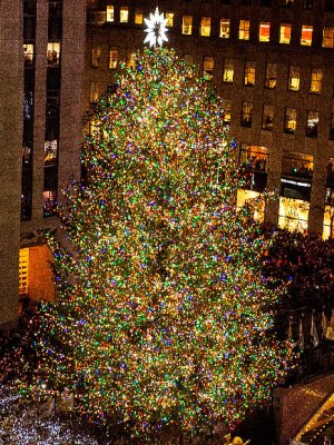 ¡OMG! Existe una fórmula perfecta para decorar el árbol de Navidad