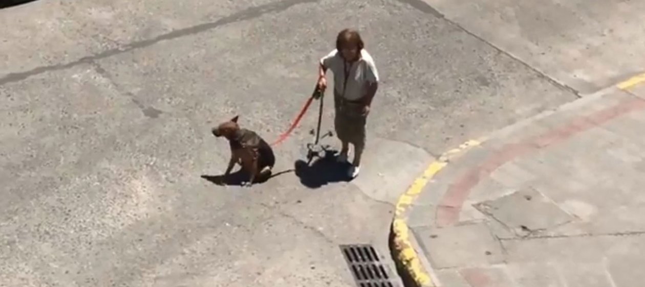 Abuelita y su perro protagonizan el video más emotivo del día