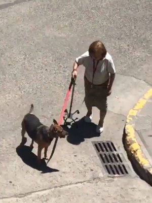 Abuelita y su perro protagonizan el video más emotivo del día