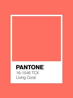 Pantone firma por primera vez una alianza con una marca de belleza nacional