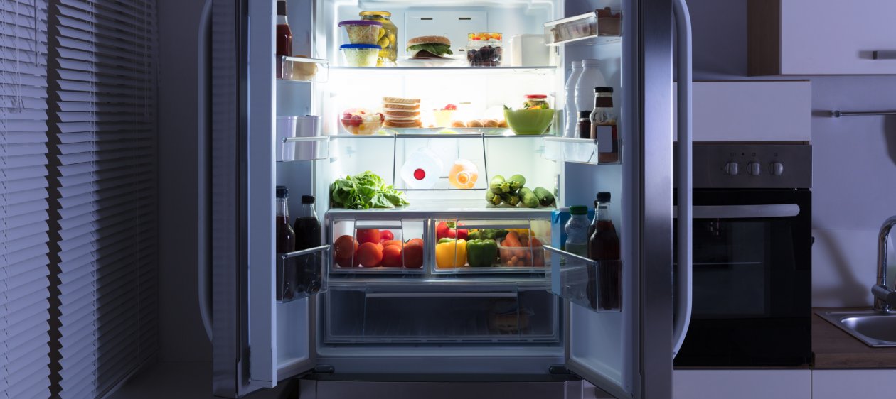 ¡Evita encontrar seres vivientes en tu refrigerador al volver de vacaciones!