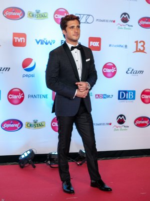8 Galanes que sacaron suspiros en la Gala de Viña 2019