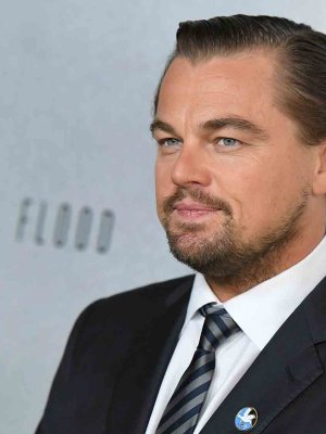 Un tuit de Leonardo DiCaprio fue suficiente para liberar a 100 ballenas